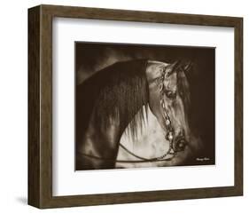 Desert Arabian-Barry Hart-Framed Art Print