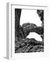 Desert Arches VI-null-Framed Photographic Print