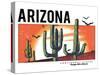 Desert Arizona Cactus Illustration for Apparel-yusuf doganay-Stretched Canvas