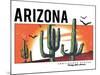 Desert Arizona Cactus Illustration for Apparel-yusuf doganay-Mounted Art Print