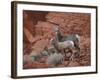 Desert Bighorn Sheep (Ovis Canadensis Nelsoni) Ewe and Two Lambs, Valley of Fire State Park, Nevada-James Hager-Framed Photographic Print