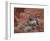 Desert Bighorn Sheep (Ovis Canadensis Nelsoni) Ewe and Two Lambs, Valley of Fire State Park, Nevada-James Hager-Framed Photographic Print