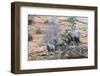 Desert bighorn sheep-Ken Archer-Framed Photographic Print