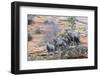 Desert bighorn sheep-Ken Archer-Framed Photographic Print