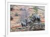 Desert bighorn sheep-Ken Archer-Framed Photographic Print