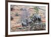 Desert bighorn sheep-Ken Archer-Framed Photographic Print