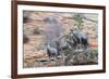 Desert bighorn sheep-Ken Archer-Framed Photographic Print