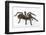 Desert Blond Tarantula-DLILLC-Framed Premium Photographic Print