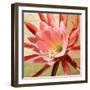 Desert Bloom I-Jason Higby-Framed Art Print