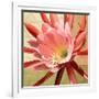 Desert Bloom I-Jason Higby-Framed Art Print