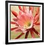 Desert Bloom I-Jason Higby-Framed Art Print