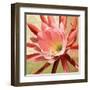 Desert Bloom I-Jason Higby-Framed Art Print