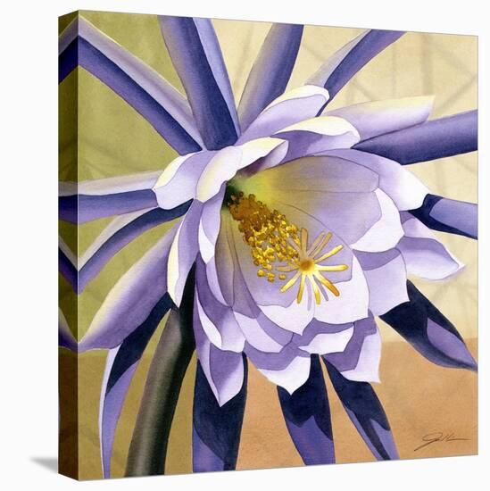 Desert Bloom II-Jason Higby-Stretched Canvas