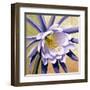 Desert Bloom II-Jason Higby-Framed Art Print