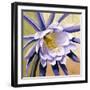 Desert Bloom II-Jason Higby-Framed Art Print