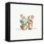 Desert Bloom VI-Daphne Brissonnet-Framed Stretched Canvas