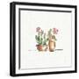 Desert Bloom VI-Daphne Brissonnet-Framed Art Print