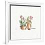 Desert Bloom VI-Daphne Brissonnet-Framed Art Print