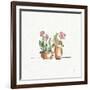 Desert Bloom VI-Daphne Brissonnet-Framed Art Print