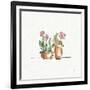 Desert Bloom VI-Daphne Brissonnet-Framed Art Print