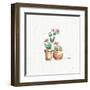 Desert Bloom VII-Daphne Brissonnet-Framed Art Print