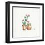 Desert Bloom VII-Daphne Brissonnet-Framed Art Print