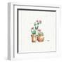 Desert Bloom VII-Daphne Brissonnet-Framed Art Print