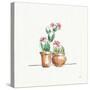 Desert Bloom VII-Daphne Brissonnet-Stretched Canvas