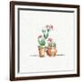 Desert Bloom VII-Daphne Brissonnet-Framed Art Print