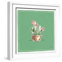 Desert Bloom X-Daphne Brissonnet-Framed Art Print