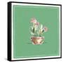 Desert Bloom X-Daphne Brissonnet-Framed Stretched Canvas