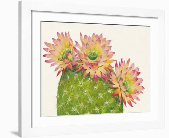 Desert Blossoms I-Tim O'toole-Framed Giclee Print