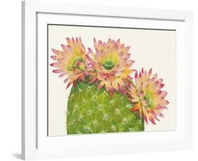 Desert Blossoms I-Tim O'toole-Framed Giclee Print