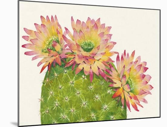 Desert Blossoms I-Tim O'toole-Mounted Giclee Print