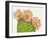 Desert Blossoms I-Tim OToole-Framed Art Print