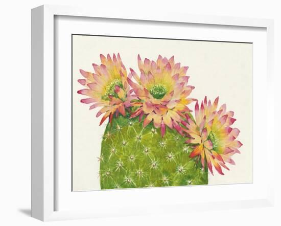 Desert Blossoms I-Tim OToole-Framed Art Print