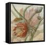 Desert Botanicals II-John Butler-Framed Stretched Canvas