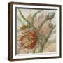 Desert Botanicals II-John Butler-Framed Art Print