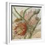 Desert Botanicals II-John Butler-Framed Art Print