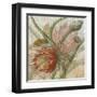 Desert Botanicals II-John Butler-Framed Art Print