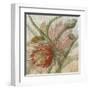 Desert Botanicals II-John Butler-Framed Art Print