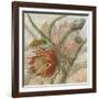 Desert Botanicals II-John Butler-Framed Art Print