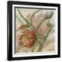 Desert Botanicals II-John Butler-Framed Art Print