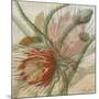 Desert Botanicals II-John Butler-Mounted Art Print