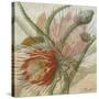 Desert Botanicals II-John Butler-Stretched Canvas