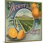 Desert Brand - Phoenix, Arizona - Citrus Crate Label-Lantern Press-Mounted Art Print