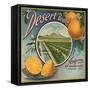 Desert Brand - Phoenix, Arizona - Citrus Crate Label-Lantern Press-Framed Stretched Canvas
