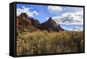 Desert Brush and the Watchman in Winter, Zion Canyon, Zion National Park, Utah, Usa-Eleanor Scriven-Framed Stretched Canvas