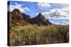 Desert Brush and the Watchman in Winter, Zion Canyon, Zion National Park, Utah, Usa-Eleanor Scriven-Stretched Canvas