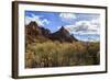 Desert Brush and the Watchman in Winter, Zion Canyon, Zion National Park, Utah, Usa-Eleanor Scriven-Framed Photographic Print
